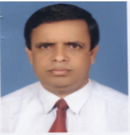 প্রফেসর মোহাম্মাদ আবদুল মালেক